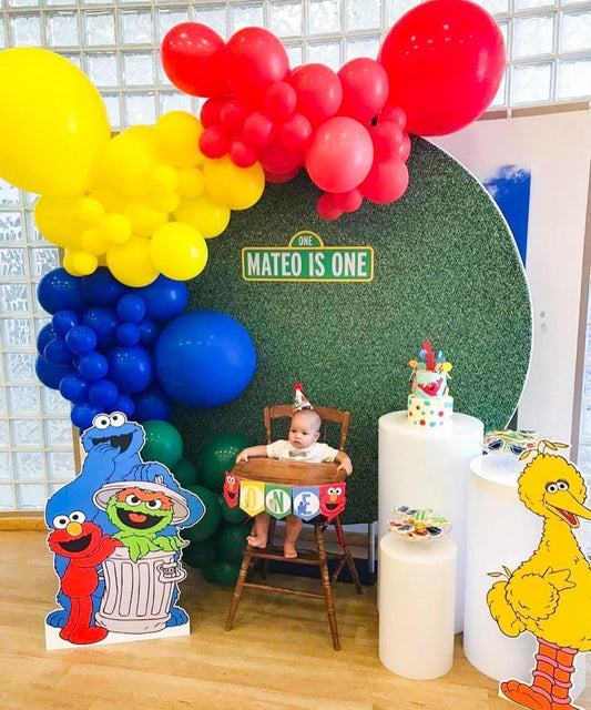 Sesame Street Theme Decor 4