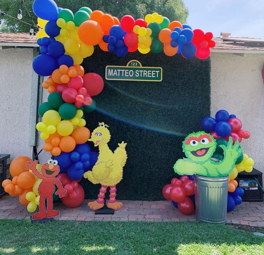 Sesame Street Theme Decor 5