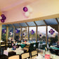 Sofia Princess Theme Decoration