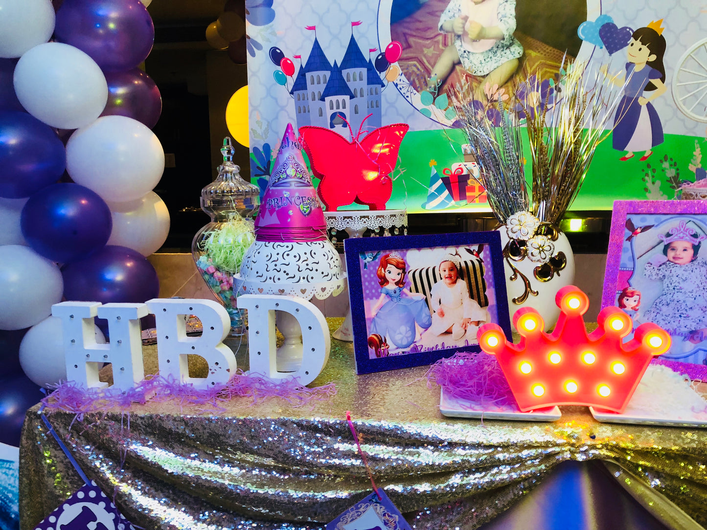 Sofia Princess Theme Decoration