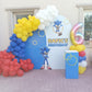 Sonic Theme Birthday Decor
