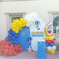 Sonic Theme Birthday Decor