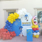 Sonic Theme Birthday Decor