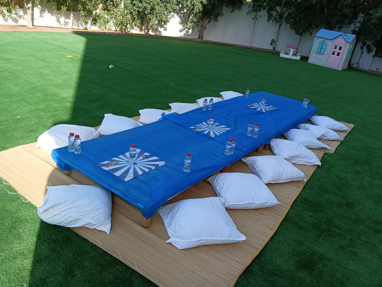 Sonic Theme Birthday Decor