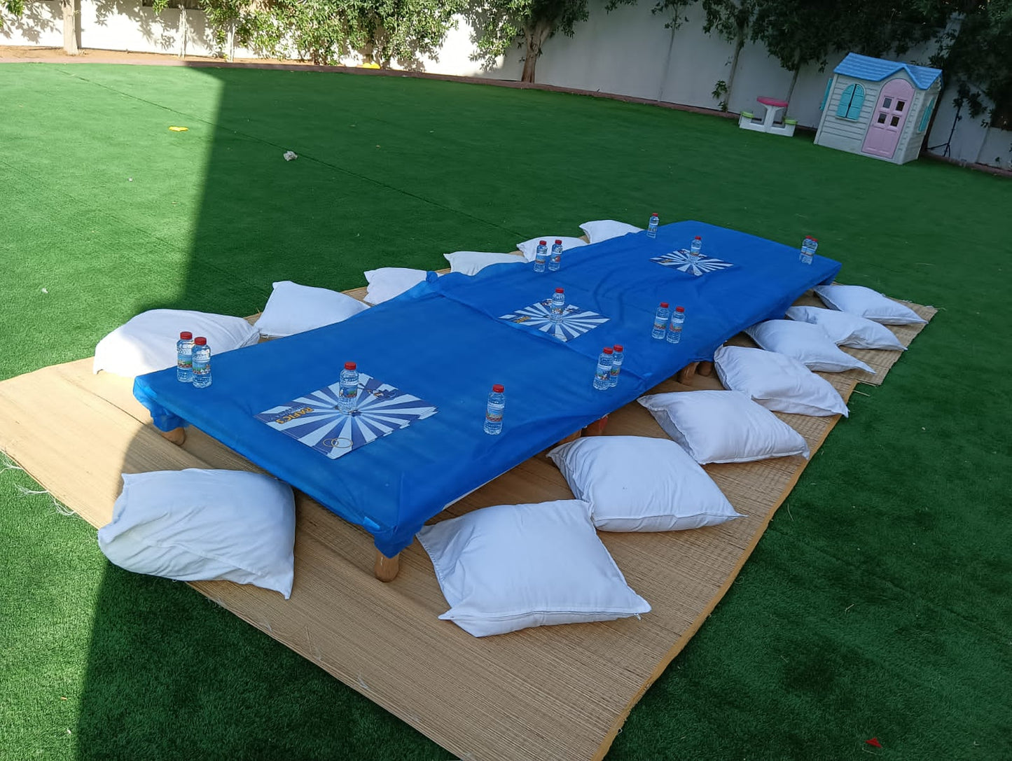 Sonic Theme Birthday Decor