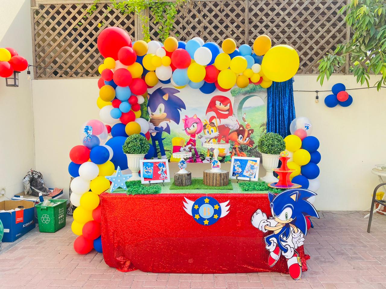 Sonic Theme