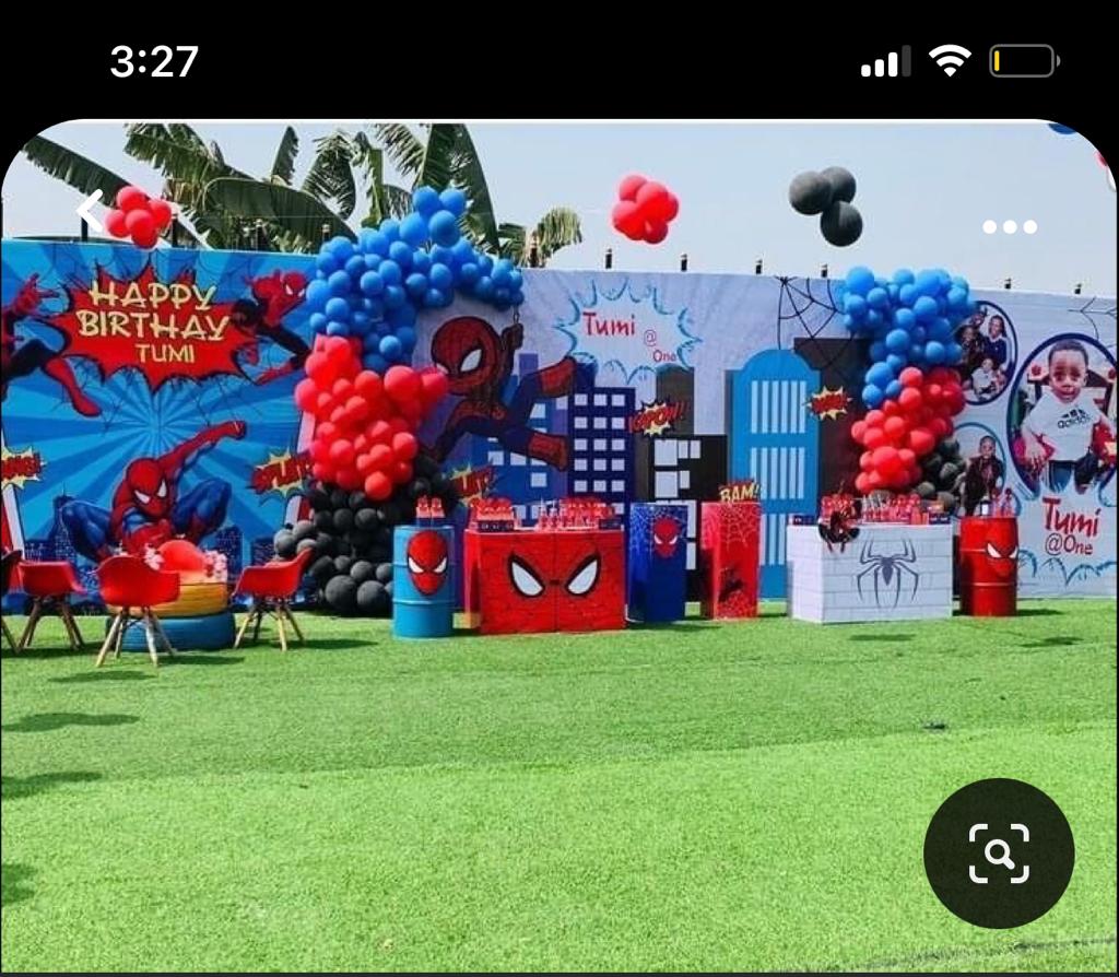 Spider-Man Theme Decor 1