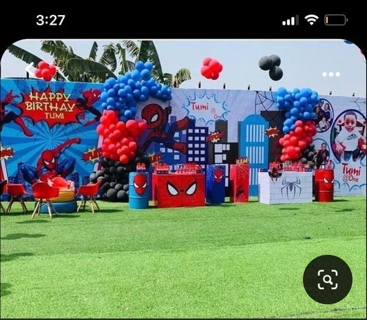 Spider-Man Theme Decor 1