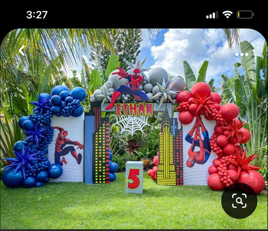 Spider-Man Theme Decor 2
