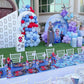 Spiderman Plus Frozen Theme Decor
