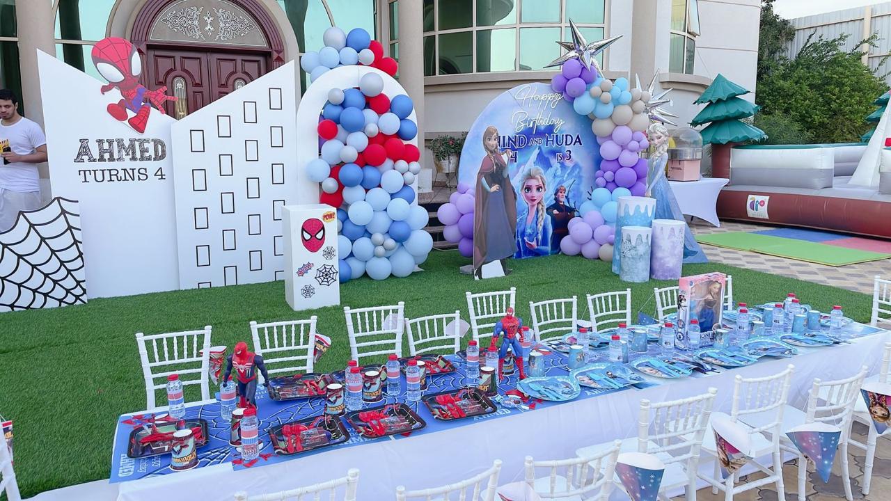 Spiderman Plus Frozen Theme Decor