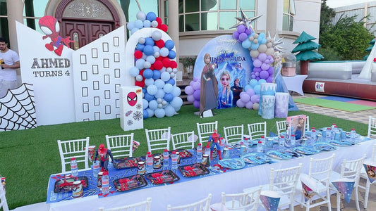 Spiderman Plus Frozen Theme Decor