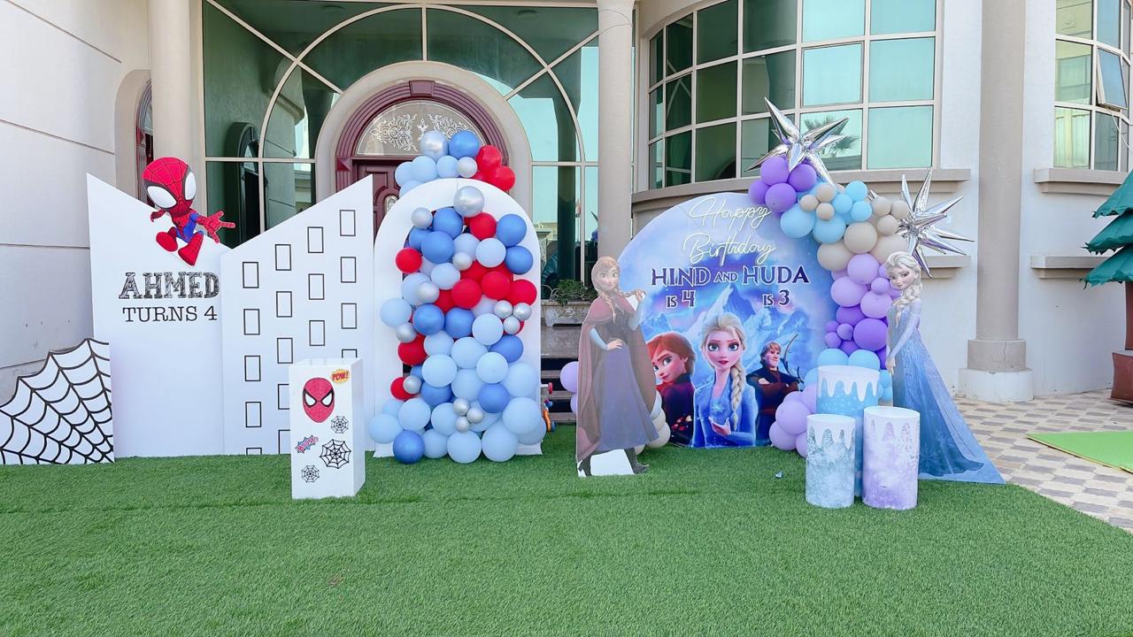 Spiderman Plus Frozen Theme Decor