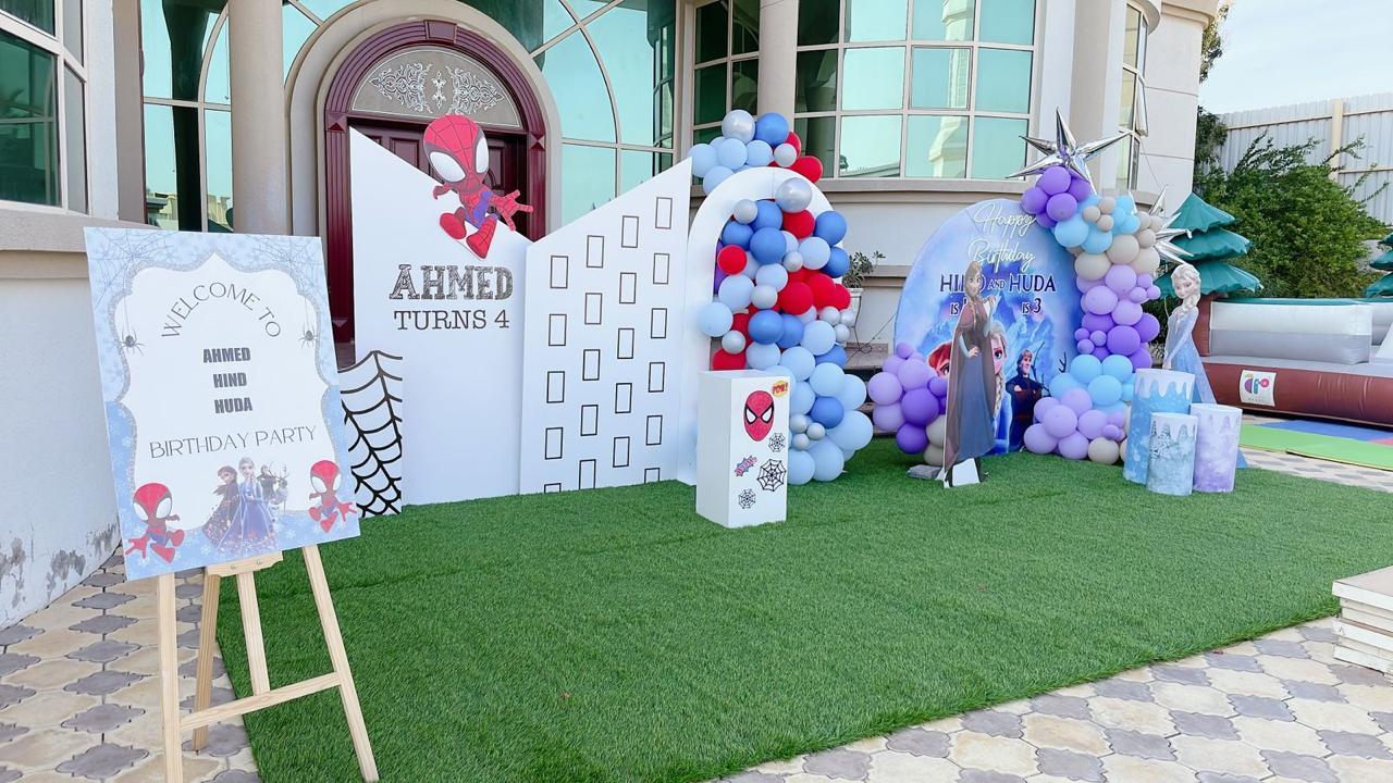 Spiderman Plus Frozen Theme Decor