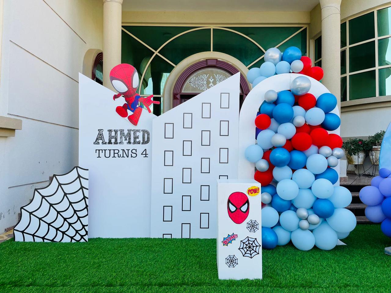 Spiderman Plus Frozen Theme Decor