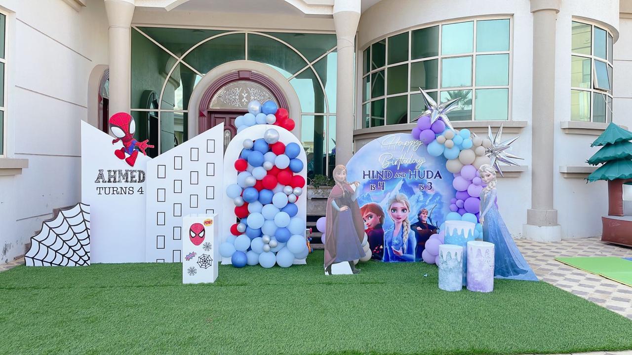 Spiderman Plus Frozen Theme Decor