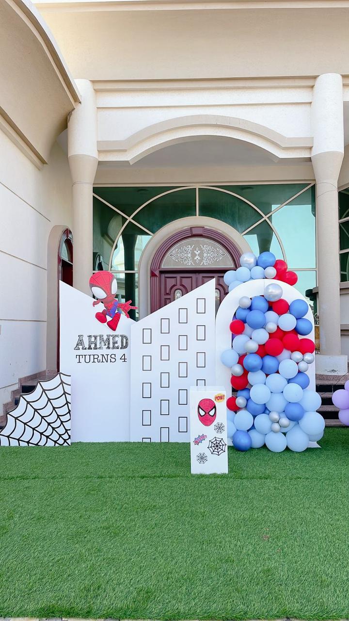 Spiderman Plus Frozen Theme Decor