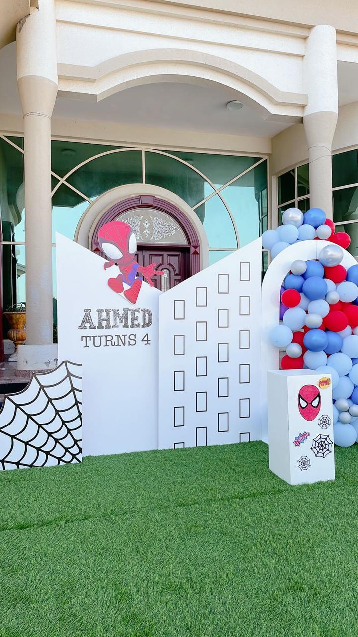 Spiderman Plus Frozen Theme Decor