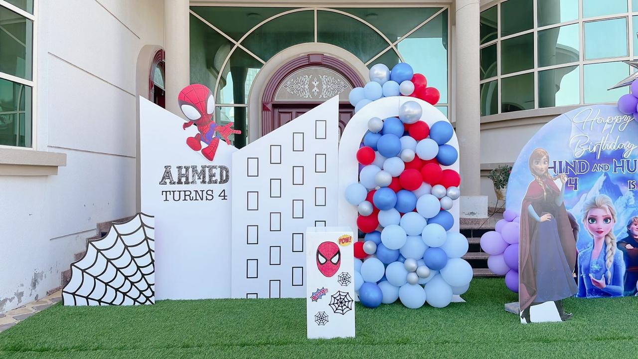 Spiderman Plus Frozen Theme Decor