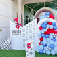 Spiderman Plus Frozen Theme Decor