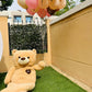 Teddy Bear Birthday Decor