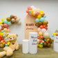 Teddy Theme Baby Shower