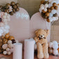 Teddy Bear Theme