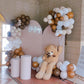 Teddy Bear Theme