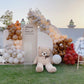 Teddy Bear Theme