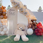 Teddy Bear Theme