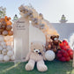 Teddy Bear Theme