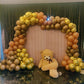 Teddy Bear Theme