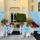 Tiara Frozen Birthday Decor