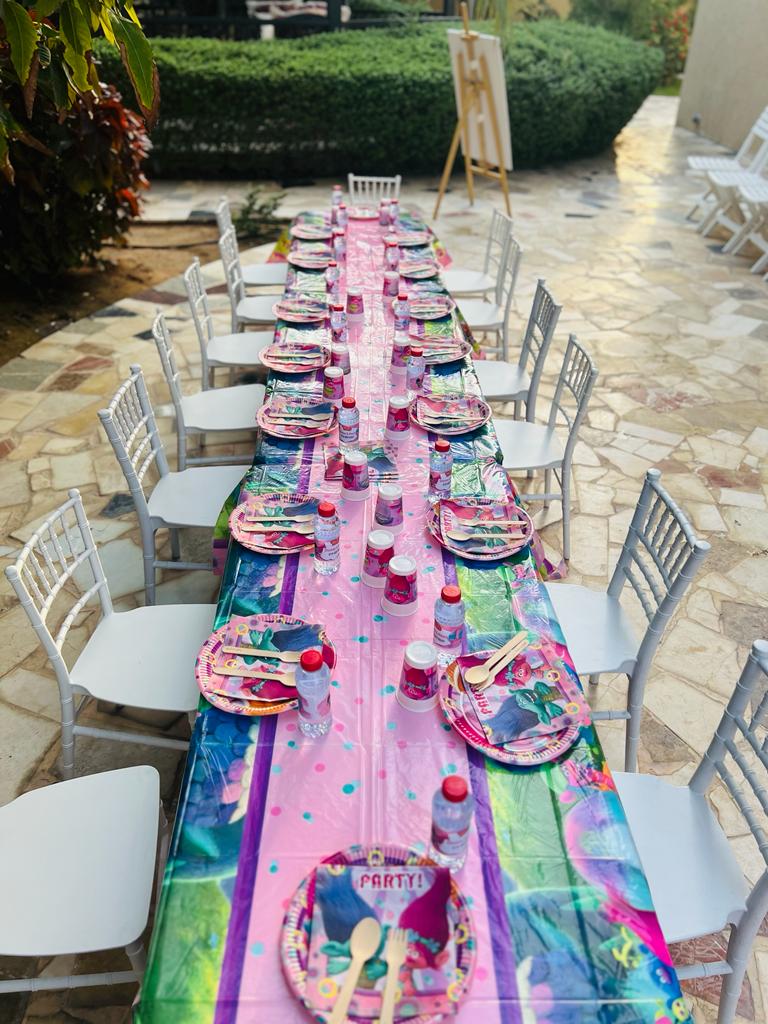 Trolls Theme Twin Birthday Decor