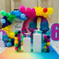 Trolls Theme Twin Birthday Decor