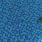 Malak Pool Birthday Decor