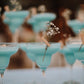 Mocktail Packages by Maison Mocktails